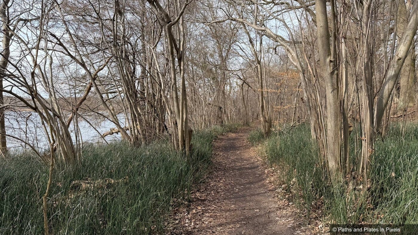 Path through the forest around Tiefwarensee