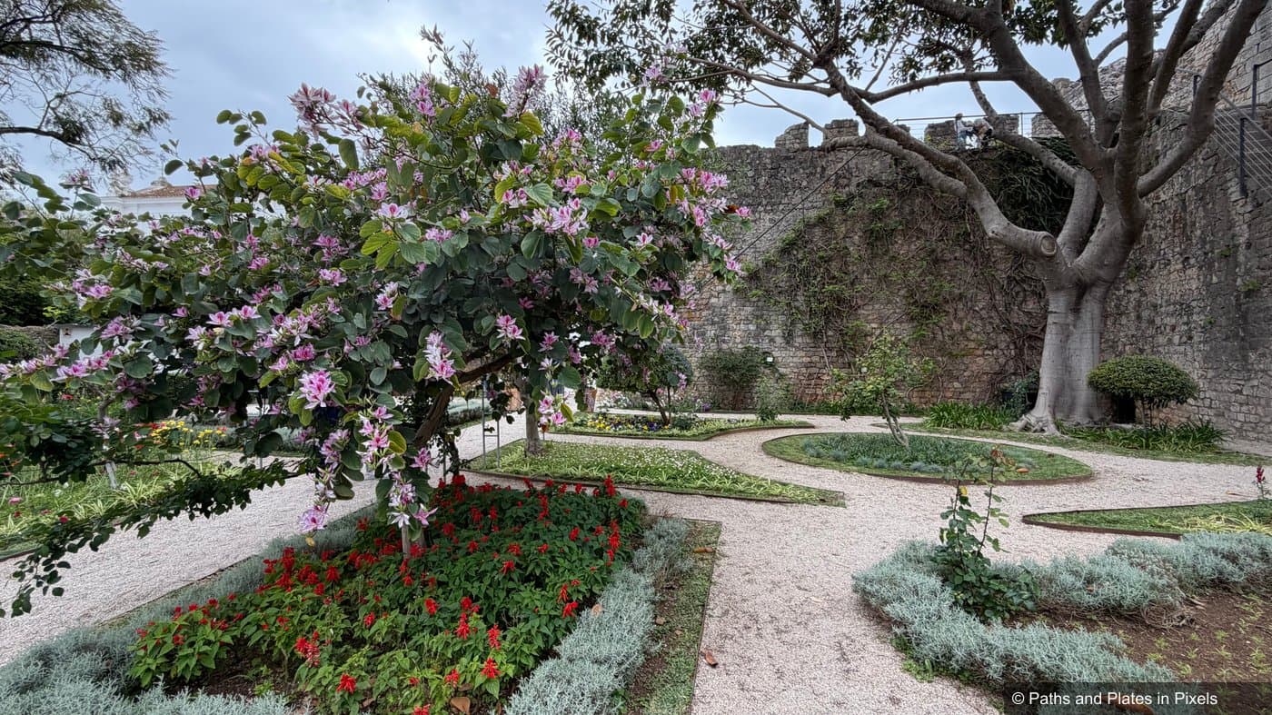 Ruined walls and lush garden inside Castelo de Tavira